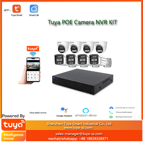 Tuya POE Camera NVR HDD Recorder kit